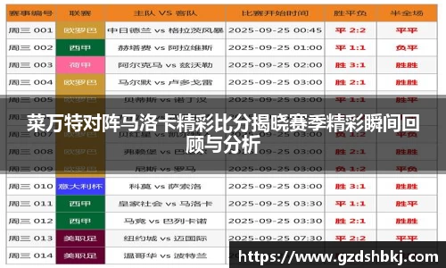 易游菜万特对阵马洛卡精彩比分揭晓赛季精彩瞬间回顾与分析